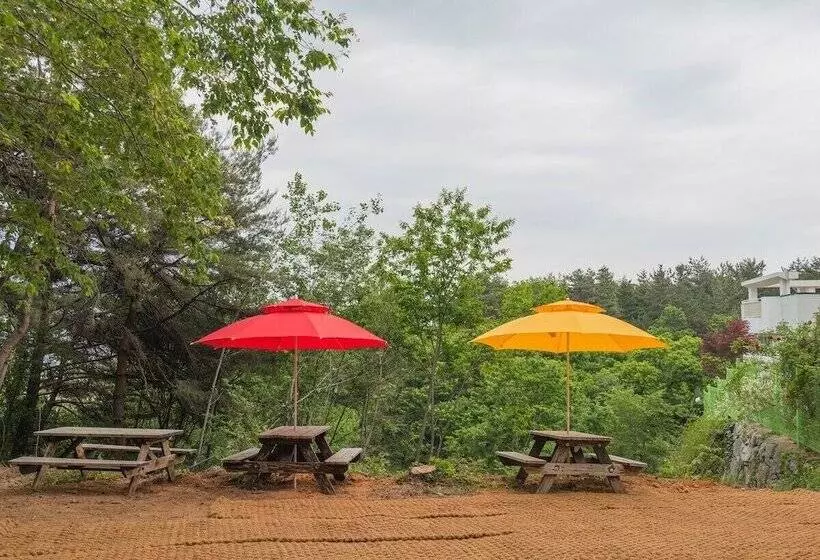 Отель Zio Pinetree