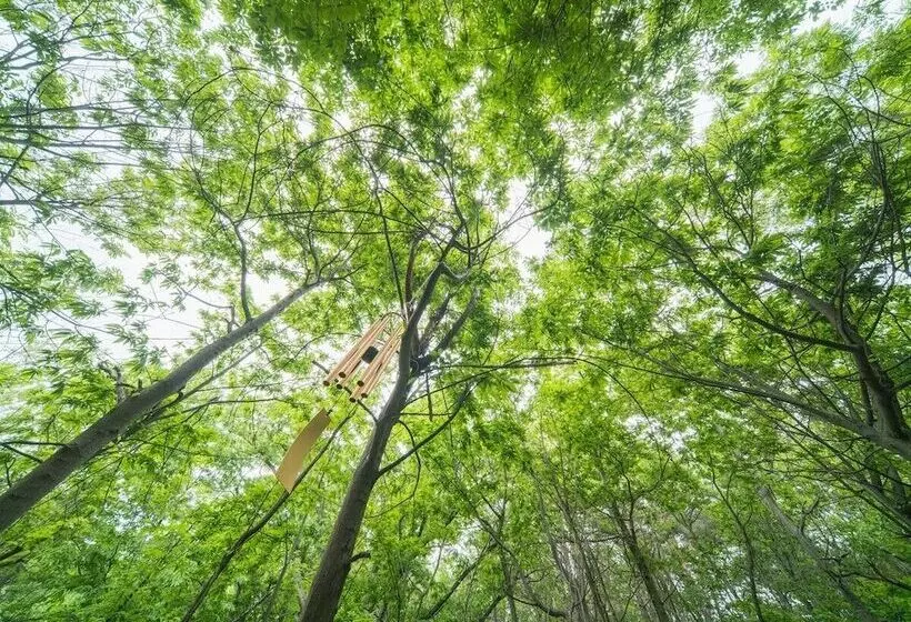 Отель Zio Pinetree