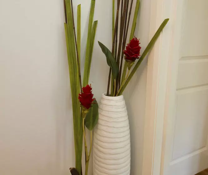 پانسیون Hillcrest Guest House Cooktown