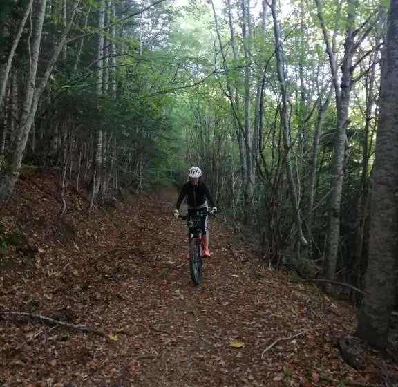 Пансион Les Terrasses Du Paradis
