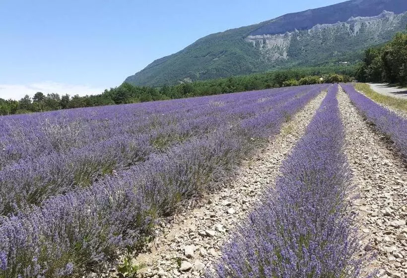 Пансион Les Terrasses Du Paradis