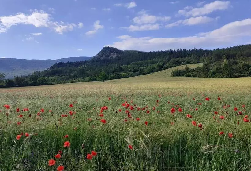 Пансион Les Terrasses Du Paradis