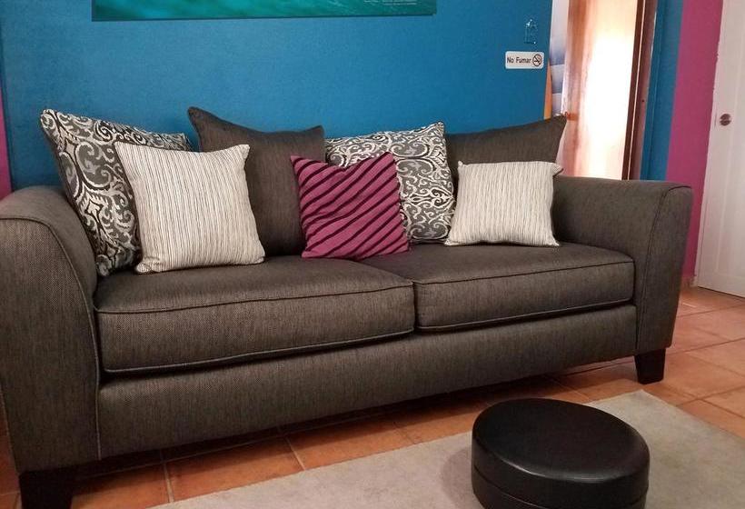 تختخواب و صبحانه Wssm Surf House