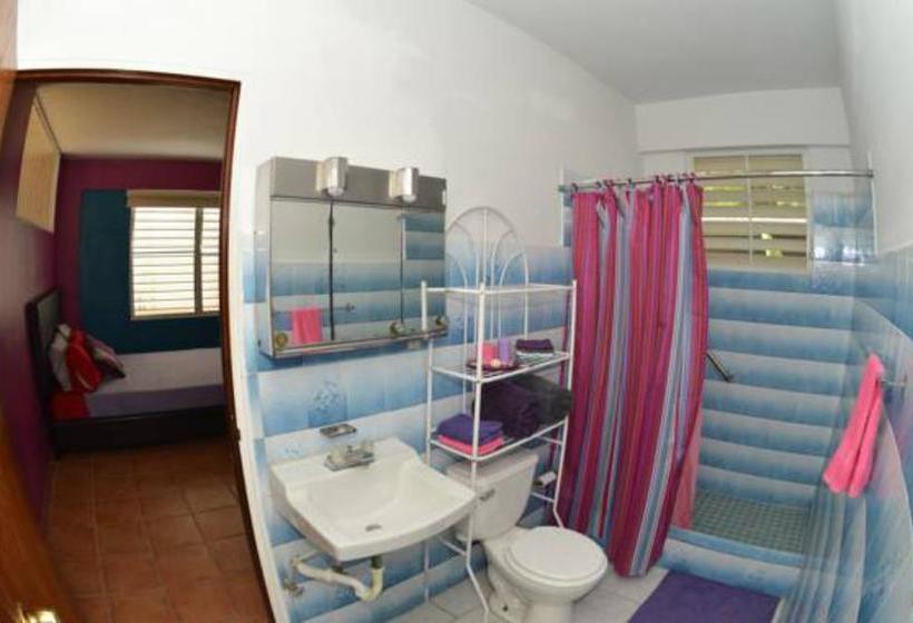 تختخواب و صبحانه Wssm Surf House