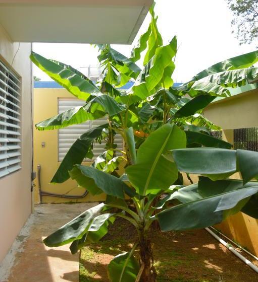 تختخواب و صبحانه Wssm Surf House