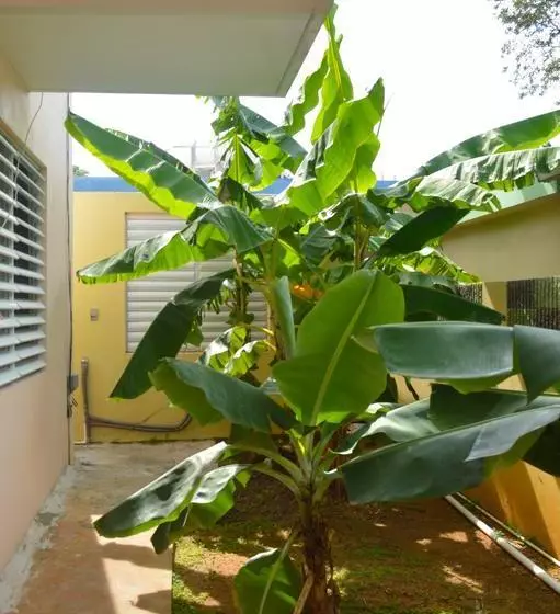 تختخواب و صبحانه Wssm Surf House