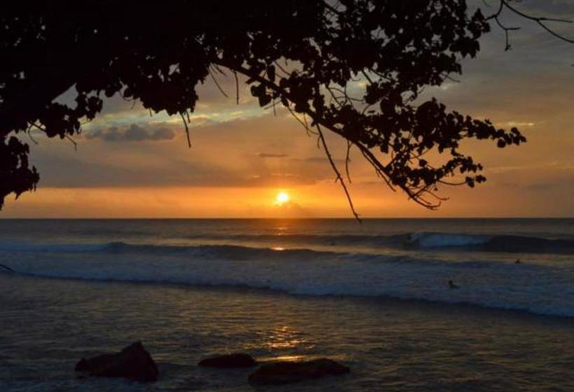 تختخواب و صبحانه Wssm Surf House