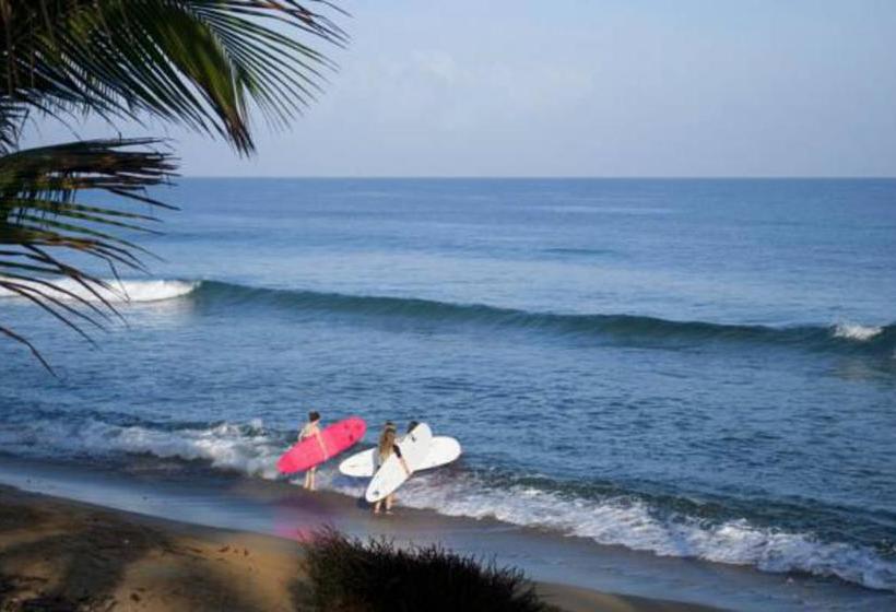 تختخواب و صبحانه Wssm Surf House