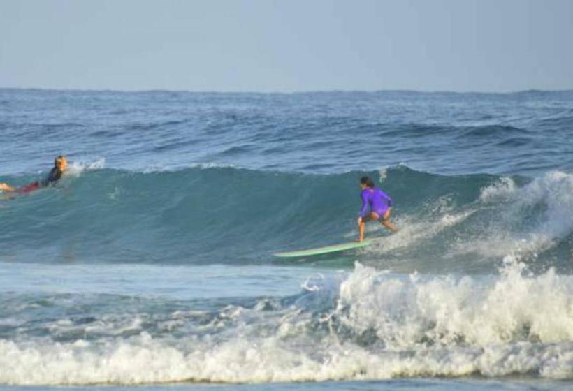 تختخواب و صبحانه Wssm Surf House