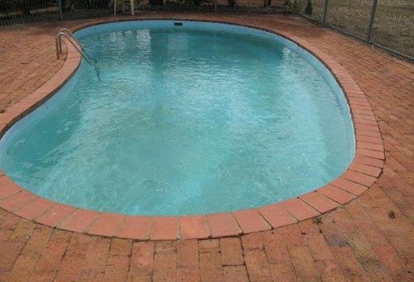 モーテル London Motor Inn