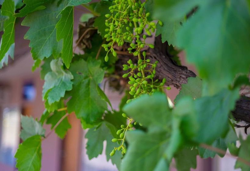 モーテル London Motor Inn