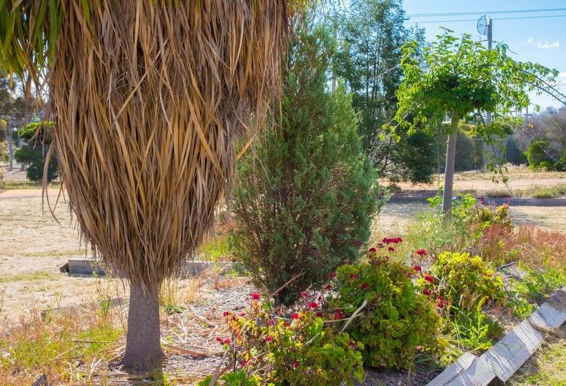 モーテル London Motor Inn