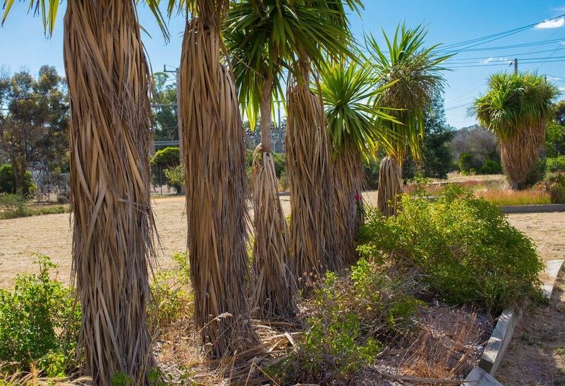 モーテル London Motor Inn