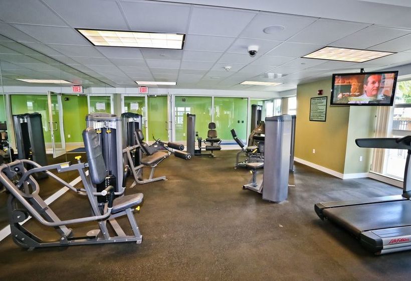 Nuovo  Downtown Miami / Brickell