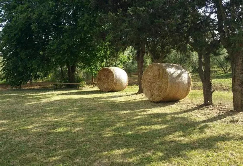 ホテル Agriturismo La Dolce Collina