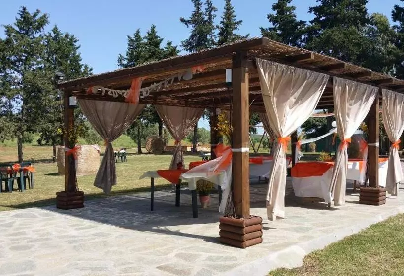 ホテル Agriturismo La Dolce Collina