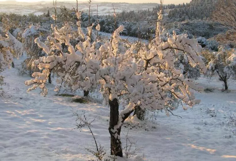 호텔 Agriturismo Martignana Alta