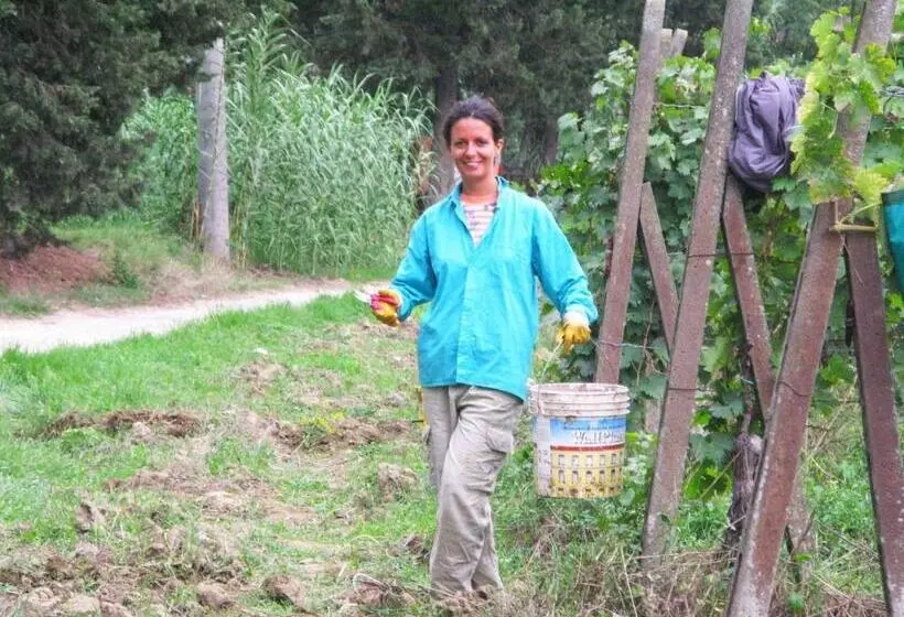 호텔 Agriturismo Martignana Alta