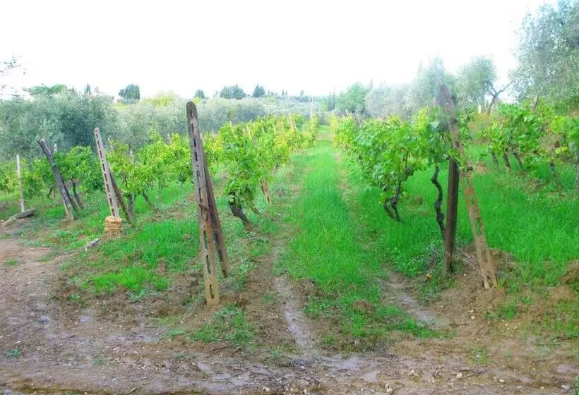 호텔 Agriturismo Martignana Alta