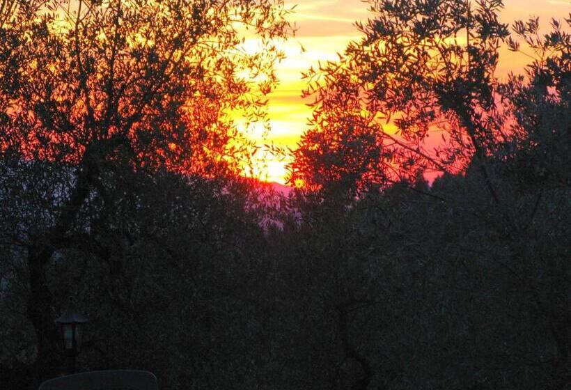 ホテル Agriturismo Martignana Alta