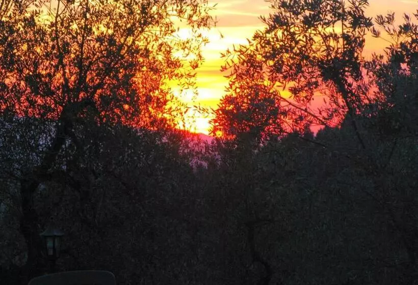 호텔 Agriturismo Martignana Alta