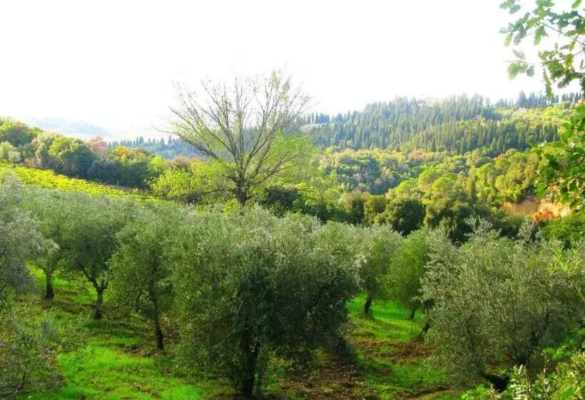 호텔 Agriturismo Martignana Alta
