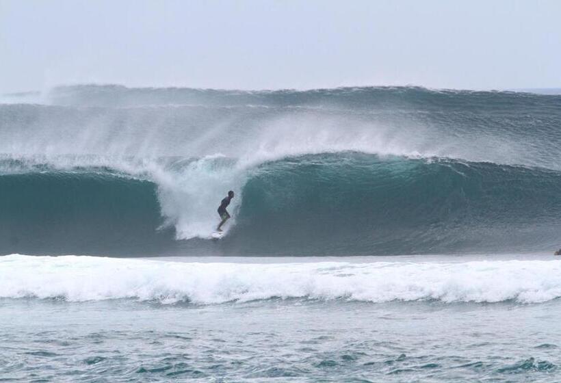 ホテル Bingin Inn