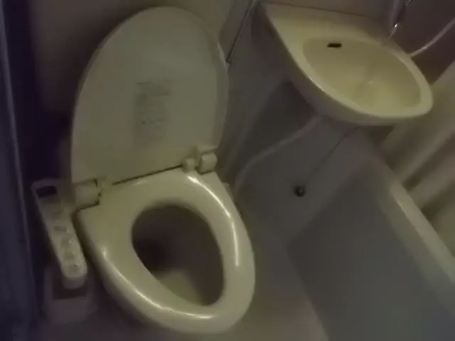 Отель Business Daiichi Omihachiman