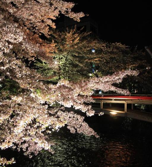 Отель Business Daiichi  Omihachiman