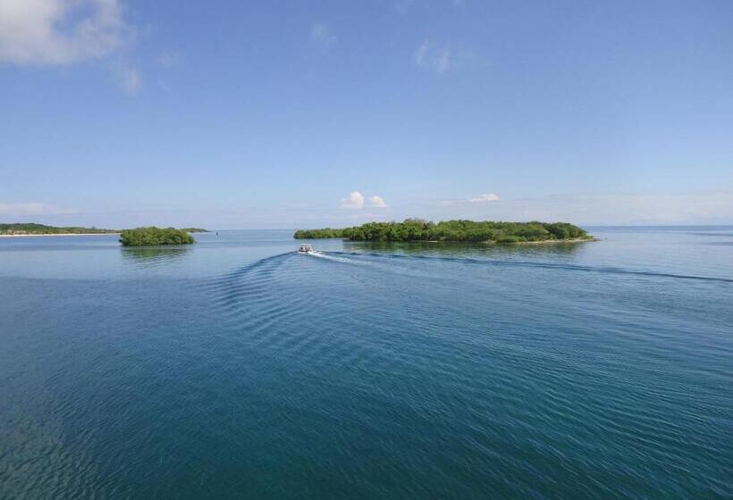 Hotel Las Palmas Beach