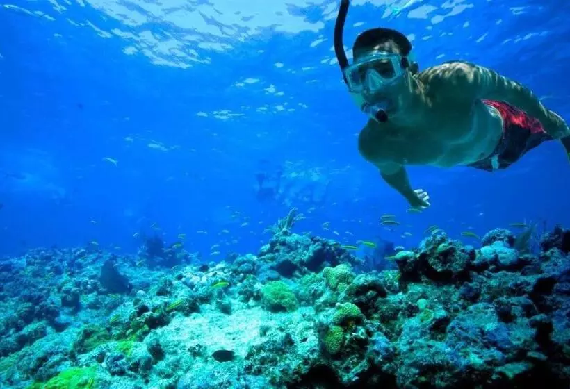 هتل Las Palmas Beach