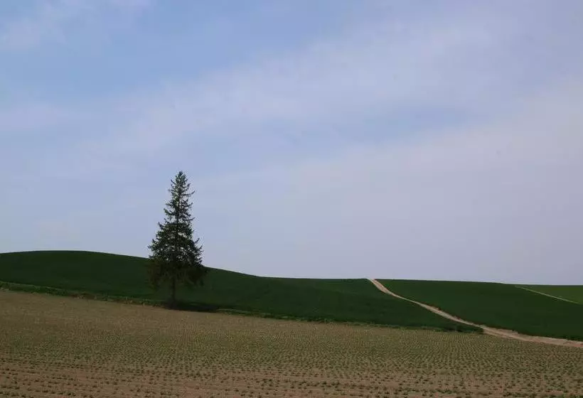 فندق Furano Shiyuirin