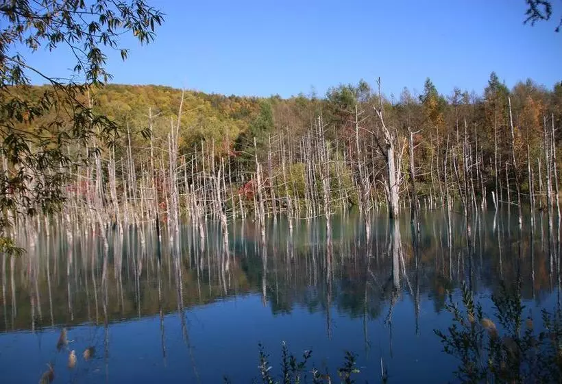 فندق Furano Shiyuirin