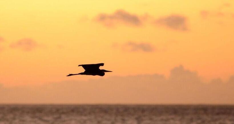 בית מלון כפרי Kisiwa On The Beach