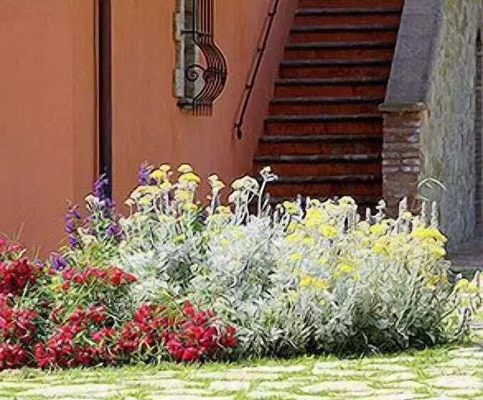 호텔 Tenuta Del Perugino