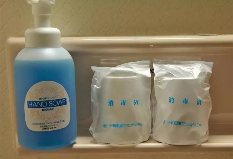 Hotel Towadako Country Road