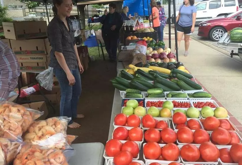 モーテル River Rock Mountain Home