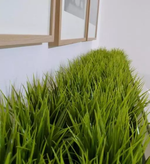 پانسیون Green Domus