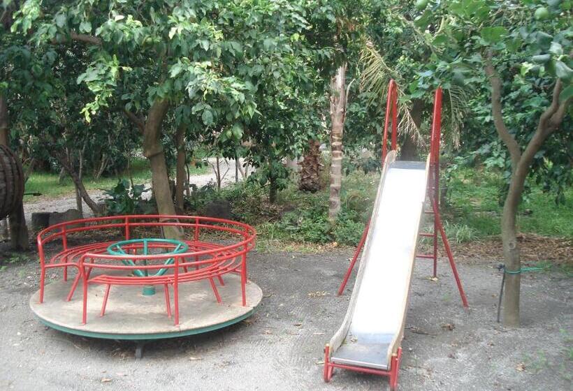 Отель Agriturismo La Grevillea