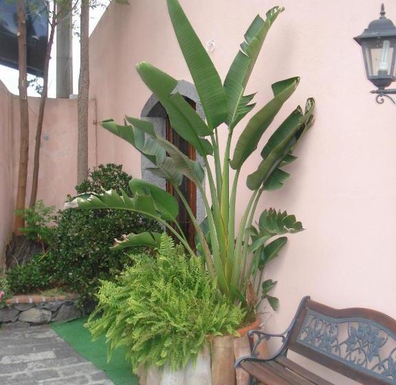 Отель Agriturismo La Grevillea