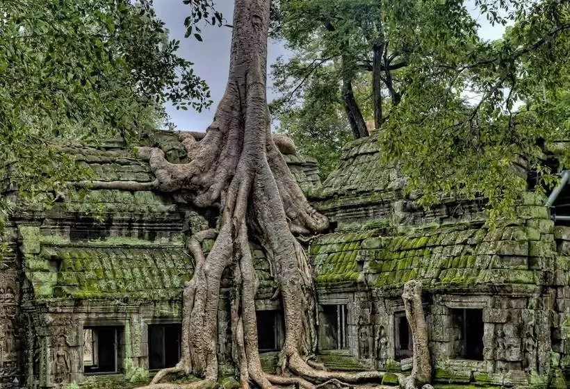 هتل Golden Temple Residence