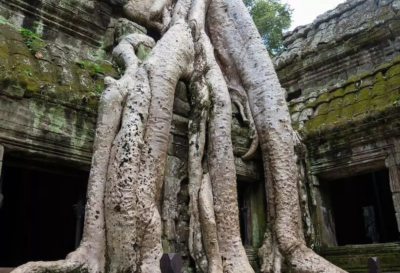 هتل Golden Temple Residence