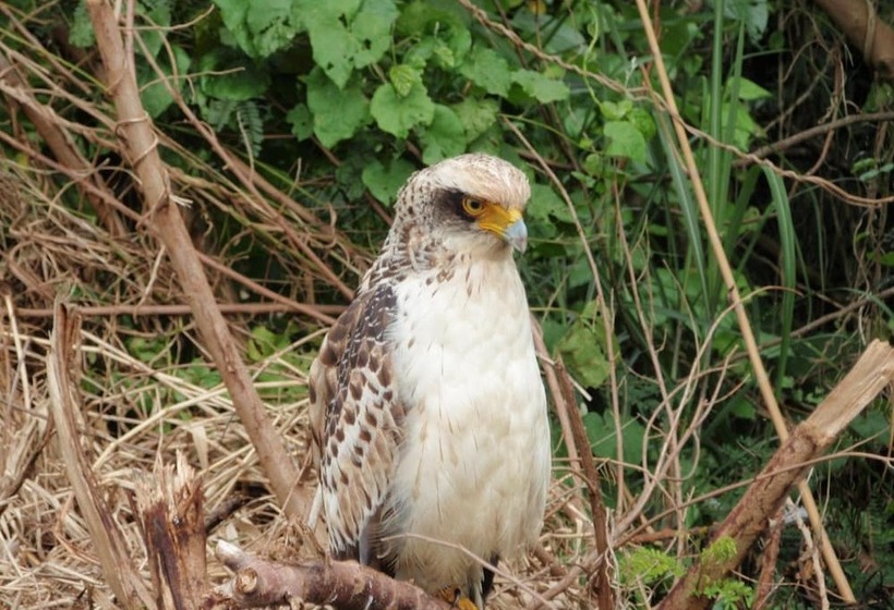 فندق Nagura Village