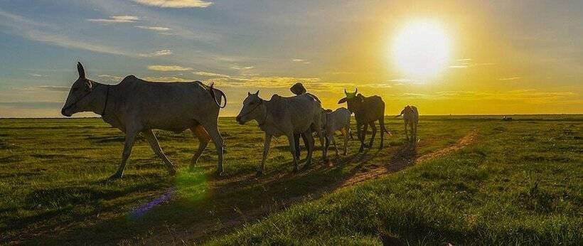 膳宿费 Mirigi Boutique