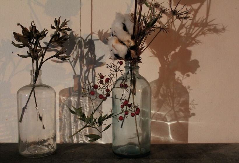 膳宿费 Osaka Guest House Drummer S Dream   Hostel