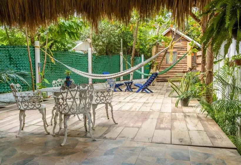 Casa Mazunte Tierra Viva