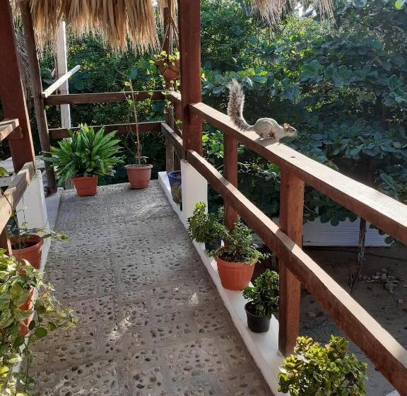 Casa Mazunte Tierra Viva