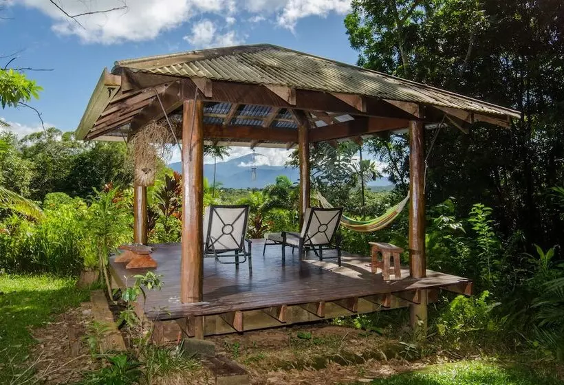 The Epiphyte Bed & Breakfast