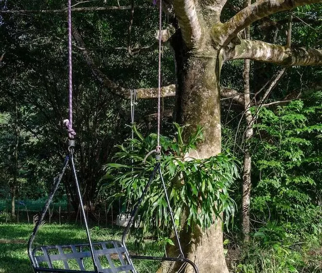 The Epiphyte Bed & Breakfast