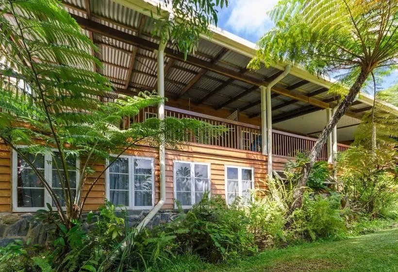 The Epiphyte Bed & Breakfast